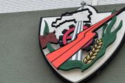 El símbolo que nos representa: historia del escudo de Roque Pérez