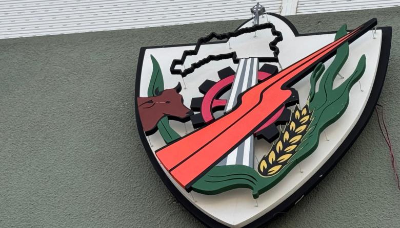 El símbolo que nos representa: historia del escudo de Roque Pérez