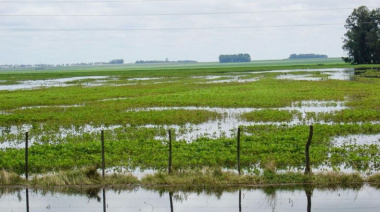 Emergencia agropecuaria: cómo acceder a la declaración jurada