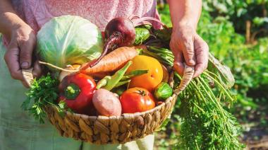 Roque Pérez: nuevos cursos de huerta agroecológica, familiar y quesos artesanales
