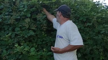 "Un producto 100% Roque Pérez”: Marcos Coltrinari y sus mermeladas caseras