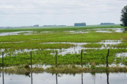 Emergencia agropecuaria: cómo acceder a la declaración jurada