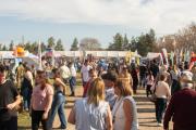 Expo Rural de Roque Pérez 2026: comenzó la cuenta regresiva para la 38° edición